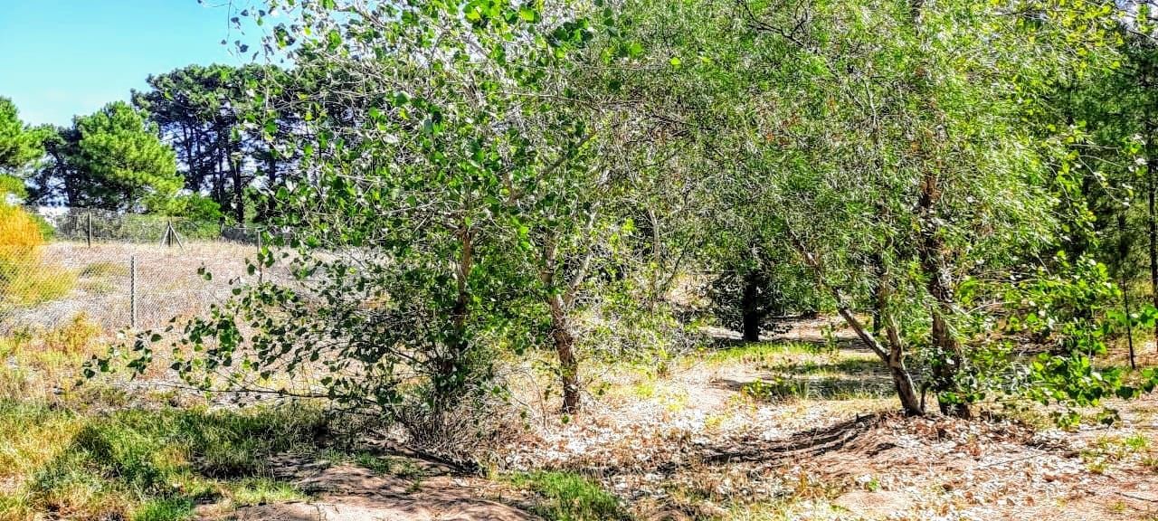 Terreno en Venta en Pinar Del Golf,  Monte Hermoso - Bahía Blanca Propiedades | SITIO OFICIAL l