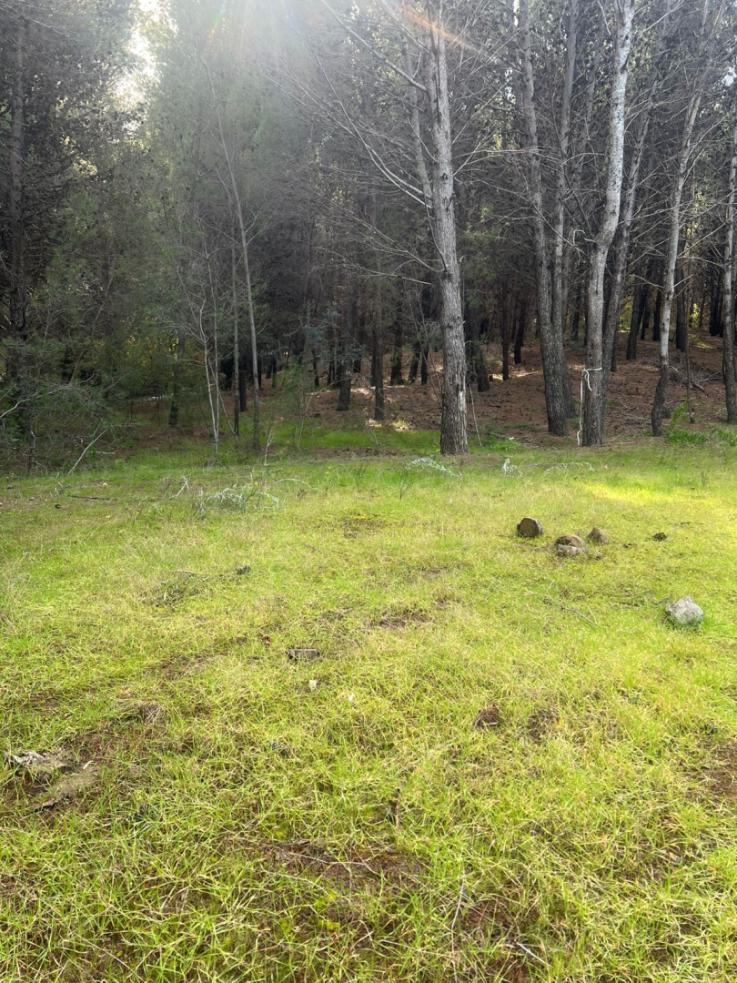 Terreno en Venta en Walich 50,  Pehuen Co - Bahía Blanca Propiedades | SITIO OFICIAL l
