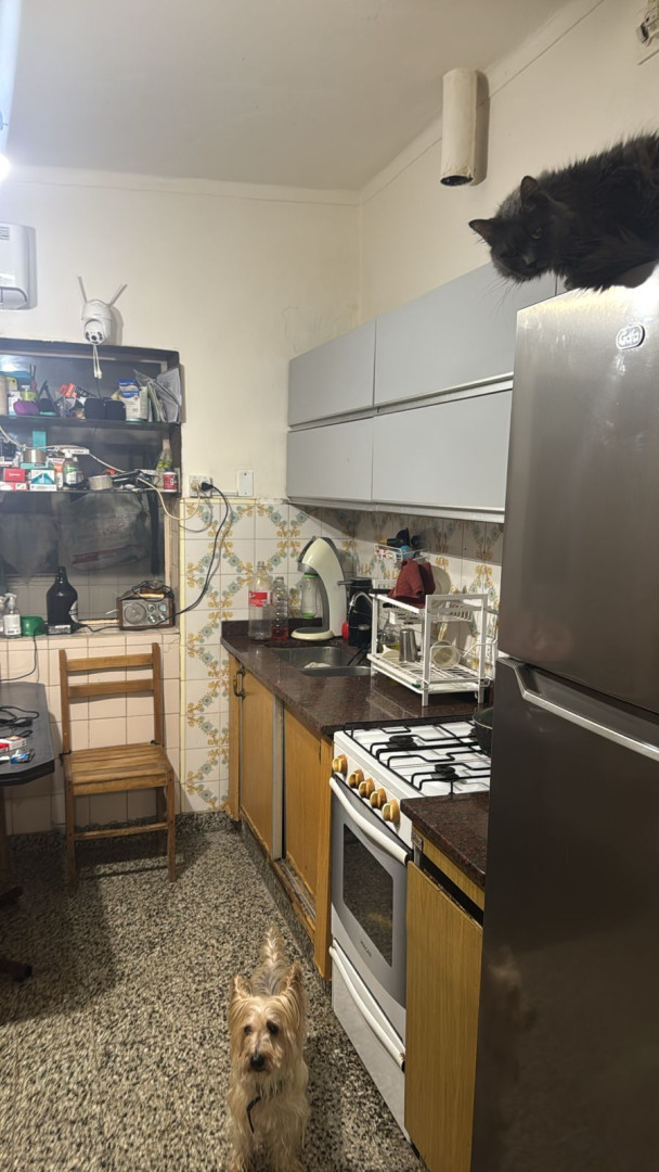 Casa en Venta en Zapiola 1100, Universitario, Bahía Blanca - Bahía Blanca Propiedades | SITIO OFICIAL l