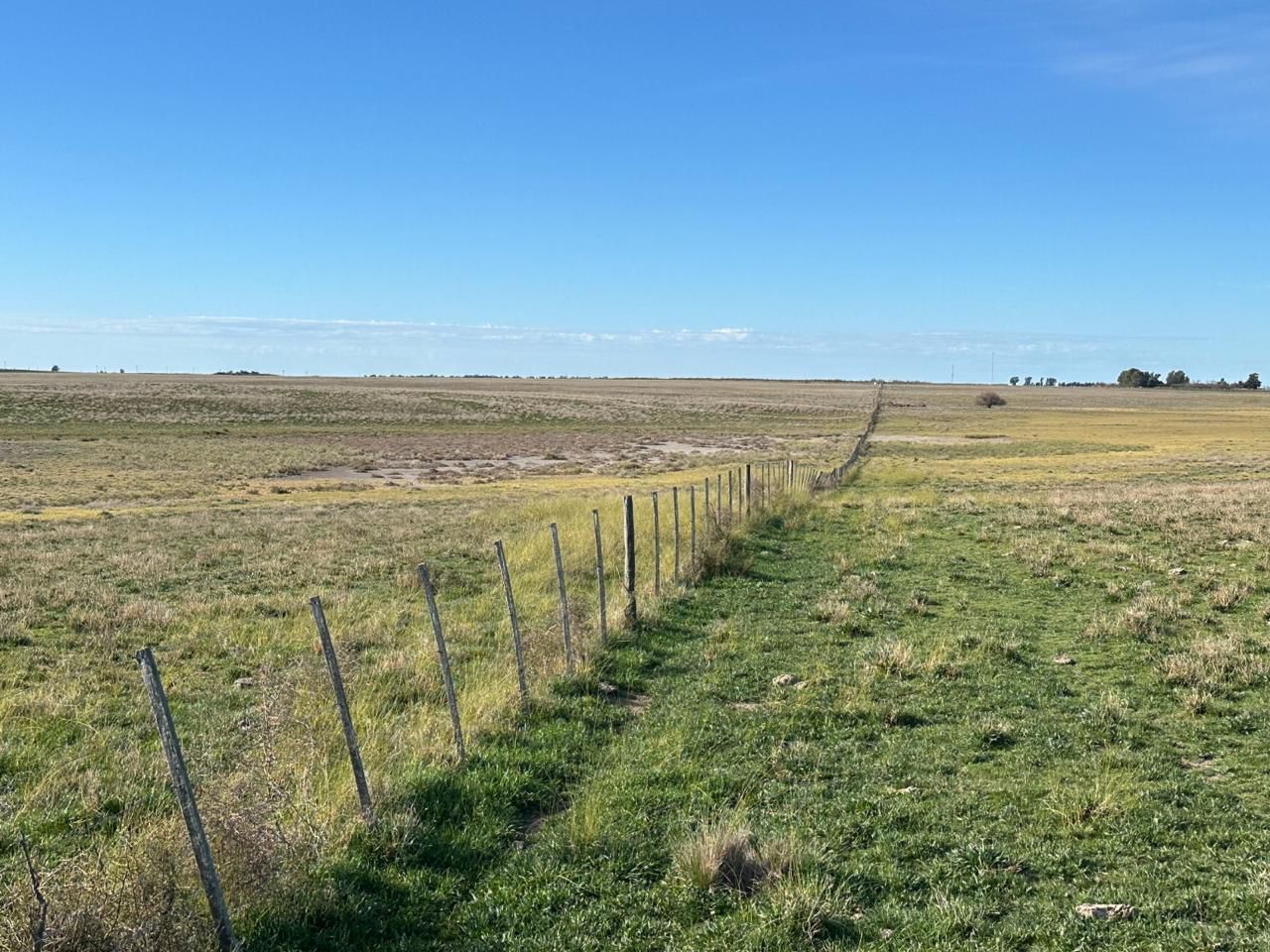 Campo  en Venta en A 4 Kilómetros De La Ruta 3.,  Teniente Origone - Bahía Blanca Propiedades | SITIO OFICIAL l
