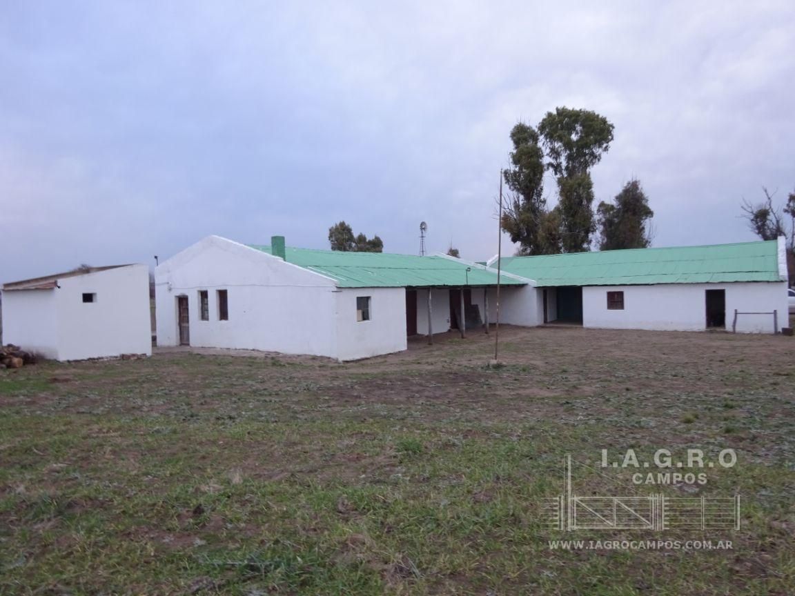 Campo  en Venta en Villarino,  Villarino - Bahía Blanca Propiedades | SITIO OFICIAL l
