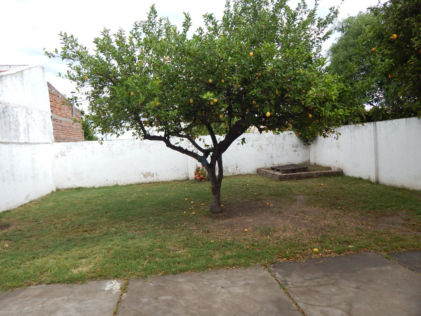 Casa en Venta en Enrique Julio 248,  Bahía Blanca - Bahía Blanca Propiedades | SITIO OFICIAL l