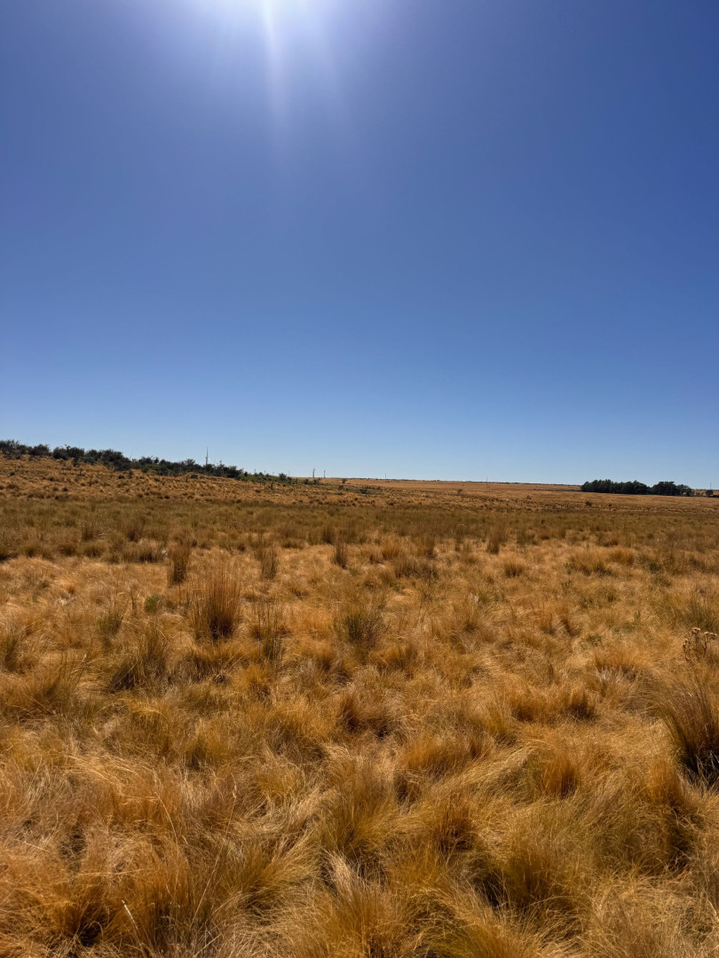 Campo  en Venta en RUTA 33 ,  Tornquist - Bahía Blanca Propiedades | SITIO OFICIAL l
