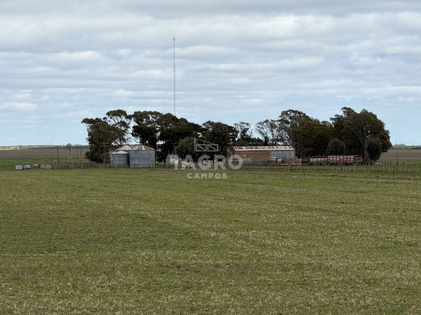 Campo  en Venta en Stroeder,  Stroeder - Bahía Blanca Propiedades | SITIO OFICIAL l