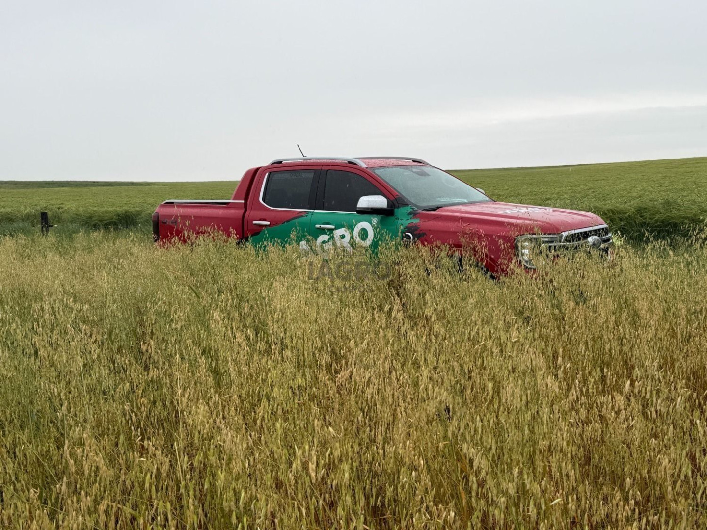 Campo  en Venta en Ruta 35,  Villarino - Bahía Blanca Propiedades | SITIO OFICIAL l