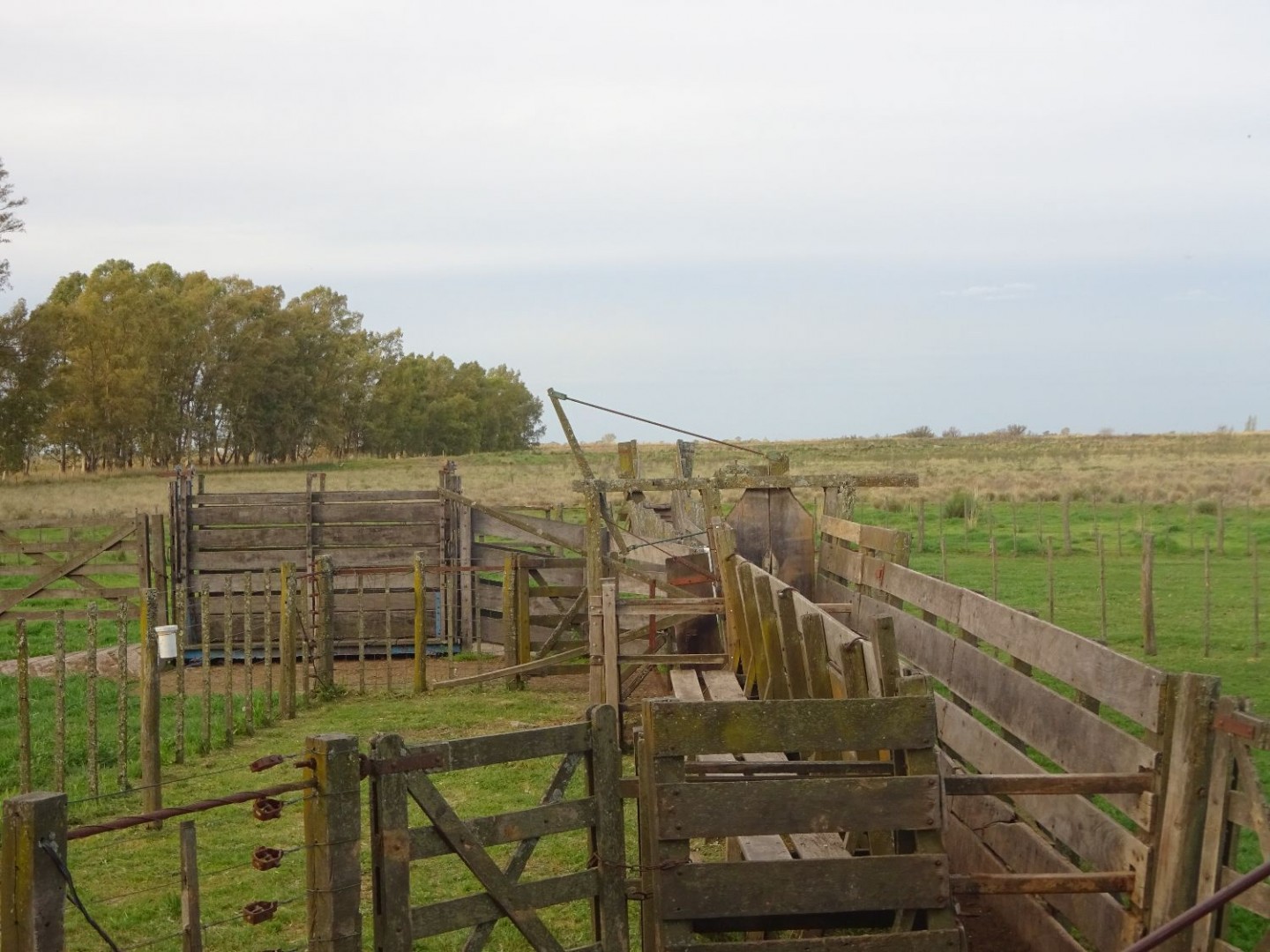 Campo  en Venta en Partido De Villarino ,  Villarino - Bahía Blanca Propiedades | SITIO OFICIAL l