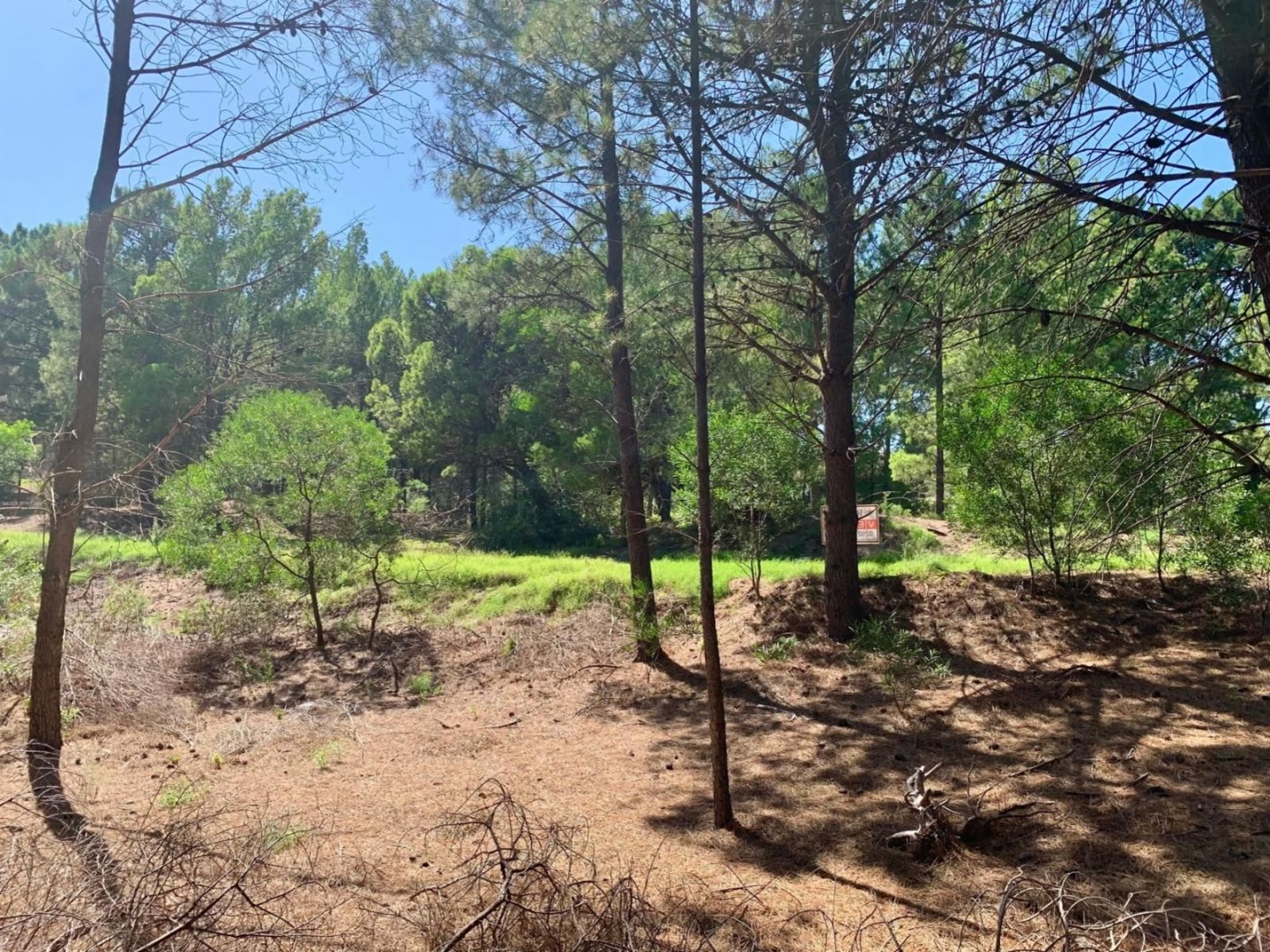 Terreno en Venta en El Pato 500, Pinar del Golf, Monte Hermoso - Bahía Blanca Propiedades | SITIO OFICIAL l