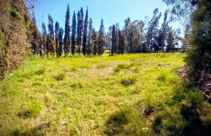 Terreno en Venta en Ayacucho 5950, Los Chañares, Bahía Blanca - Bahía Blanca Propiedades | SITIO OFICIAL l