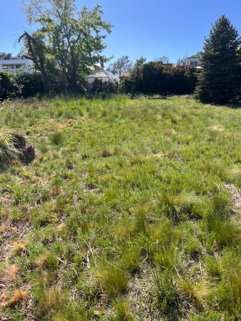 Casa en Venta en Pago Chico, Pago Chico, Bahía Blanca - Bahía Blanca Propiedades | SITIO OFICIAL l