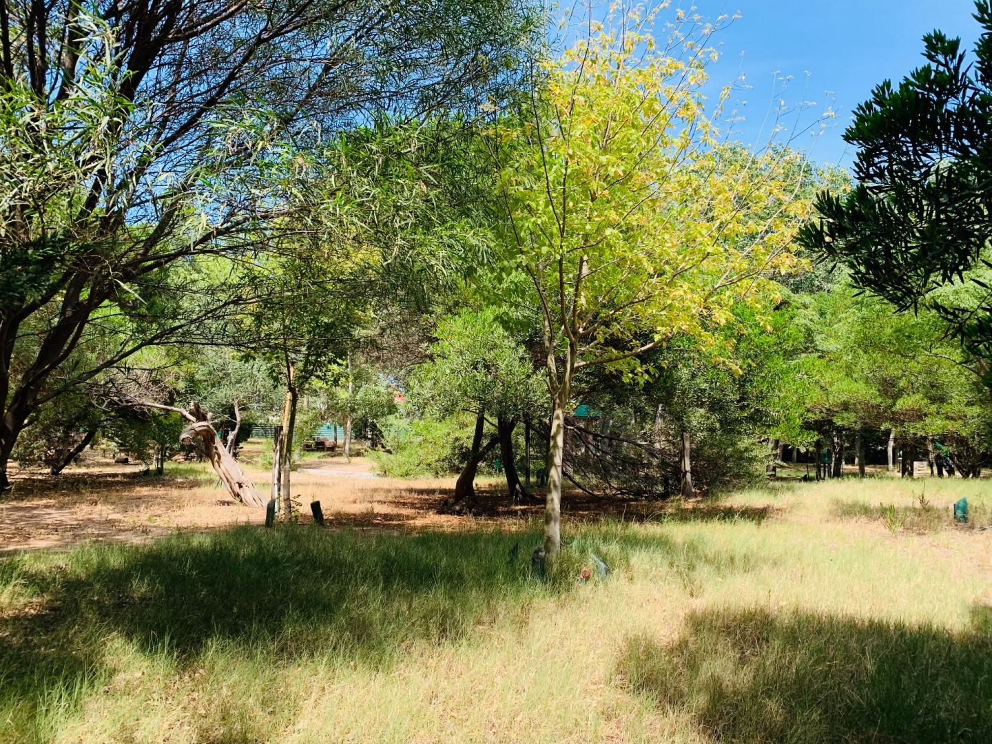Terreno en Venta en Quiroga Entre Malvinas Y La Rioja, Dufaur, Monte Hermoso - Bahía Blanca Propiedades | SITIO OFICIAL l