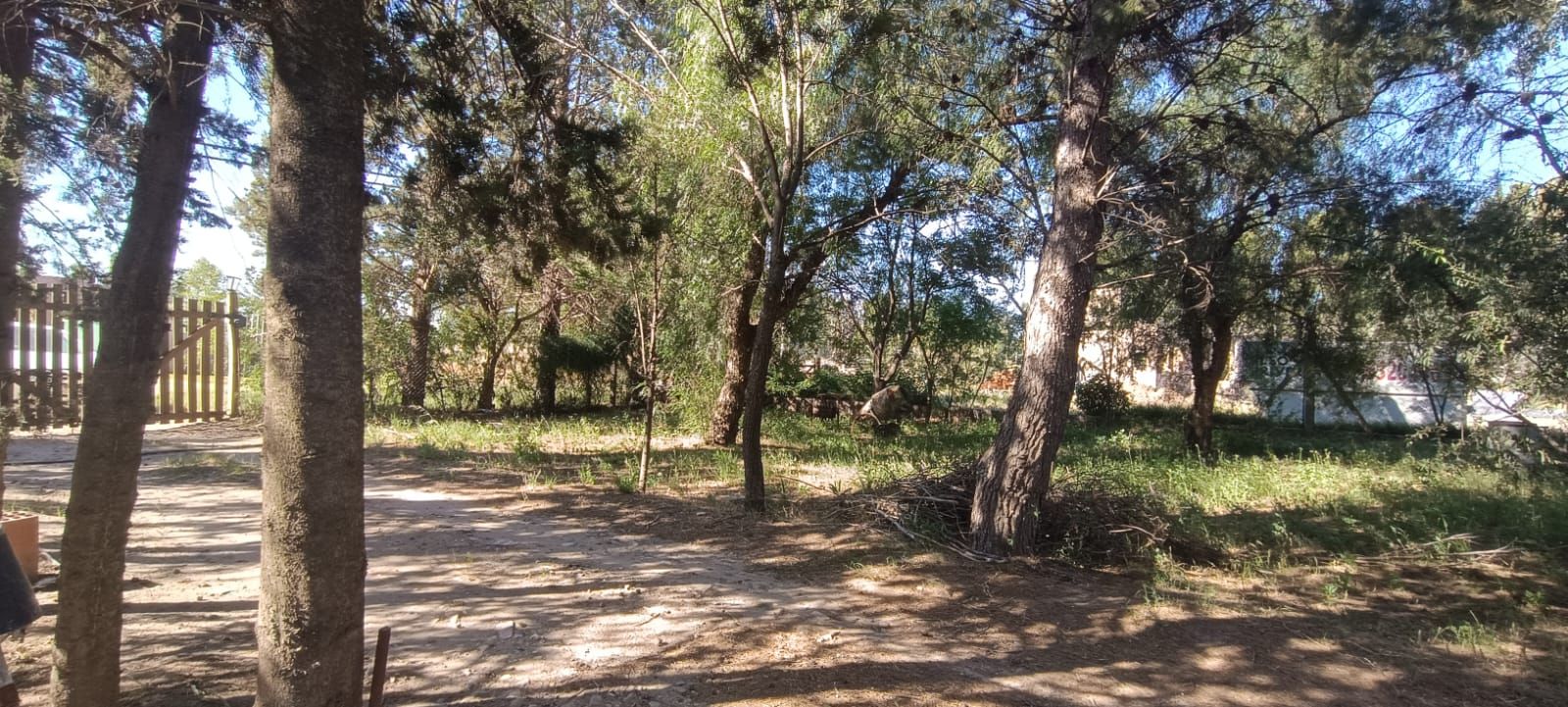 Casaquinta en Venta en Casilda Igarzabal 100, Los Chañares, Bahía Blanca - Bahía Blanca Propiedades | SITIO OFICIAL l