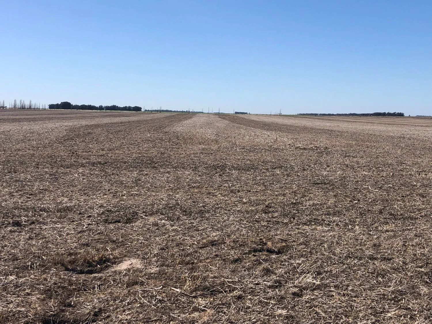 Campo  en Venta en Tres Arroyos,  Tres Arroyos - Bahía Blanca Propiedades | SITIO OFICIAL l