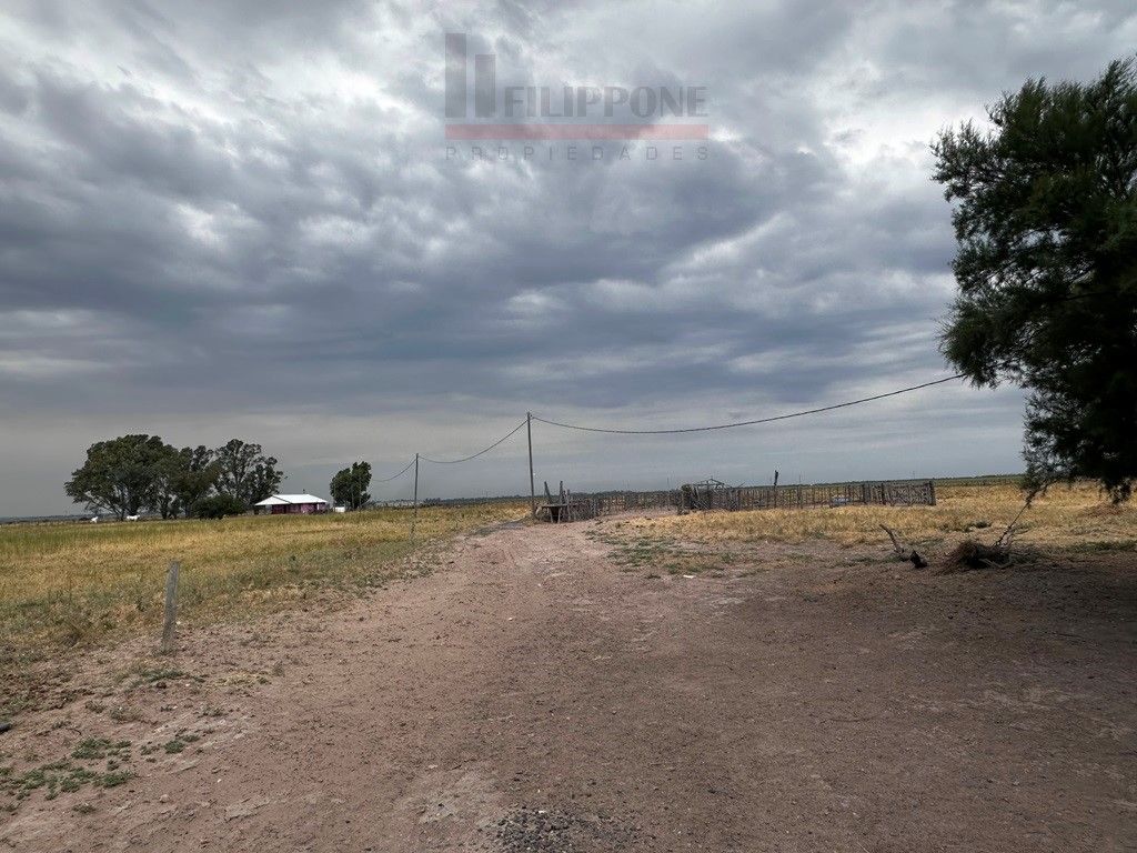 Campo  en Venta en Ruta Nacional 35 Km15,  Bahía Blanca - Bahía Blanca Propiedades | SITIO OFICIAL l