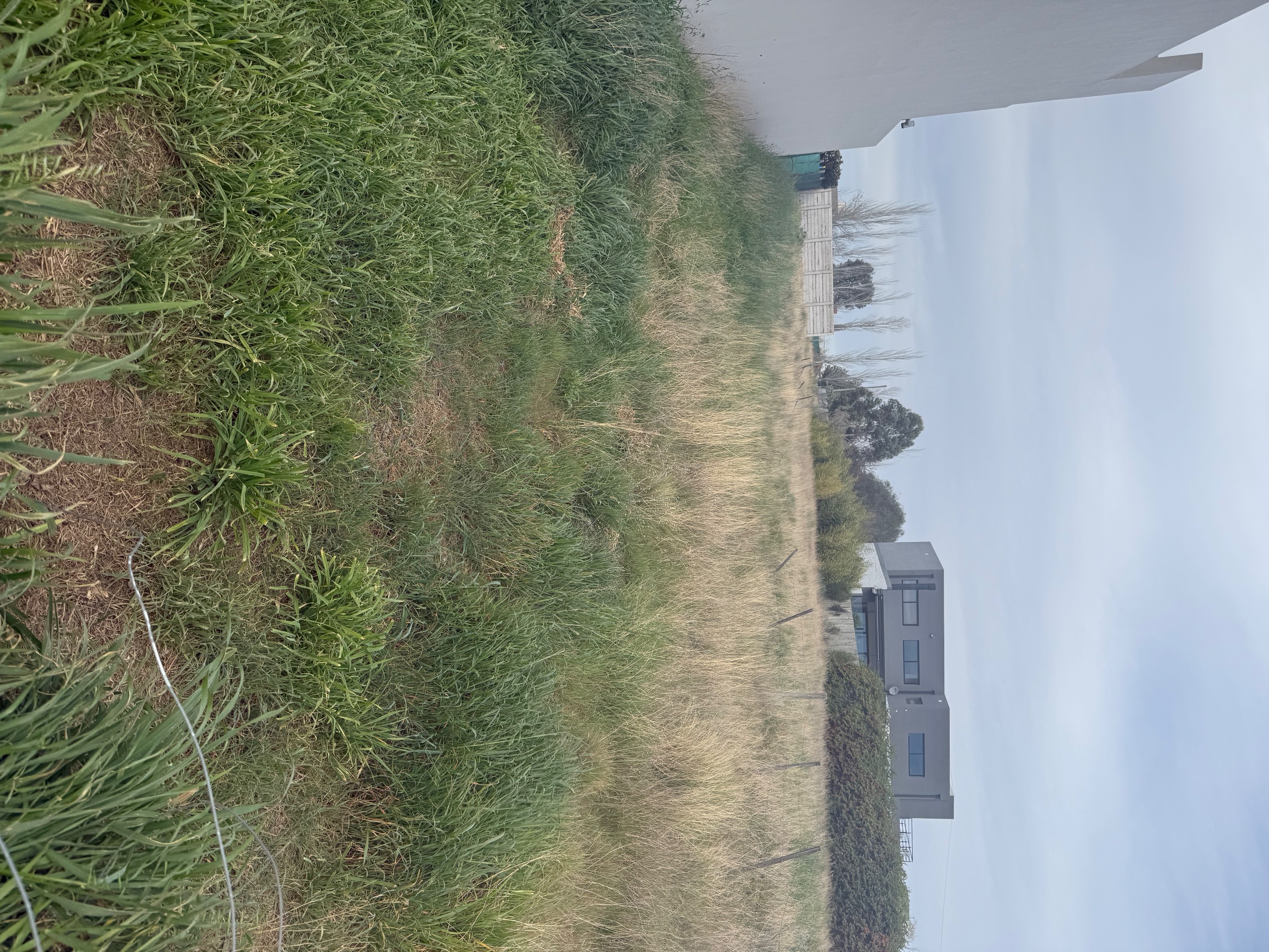 Terreno en Venta en Alsina 3100, Palos Verdes, Bahía Blanca - Bahía Blanca Propiedades | SITIO OFICIAL l