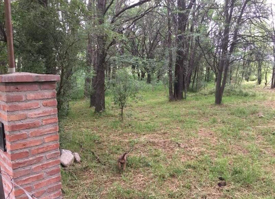 Terreno en Venta en Las Golondrinas Y Horneros,  Villa Serrana La Gruta - Bahía Blanca Propiedades | SITIO OFICIAL l