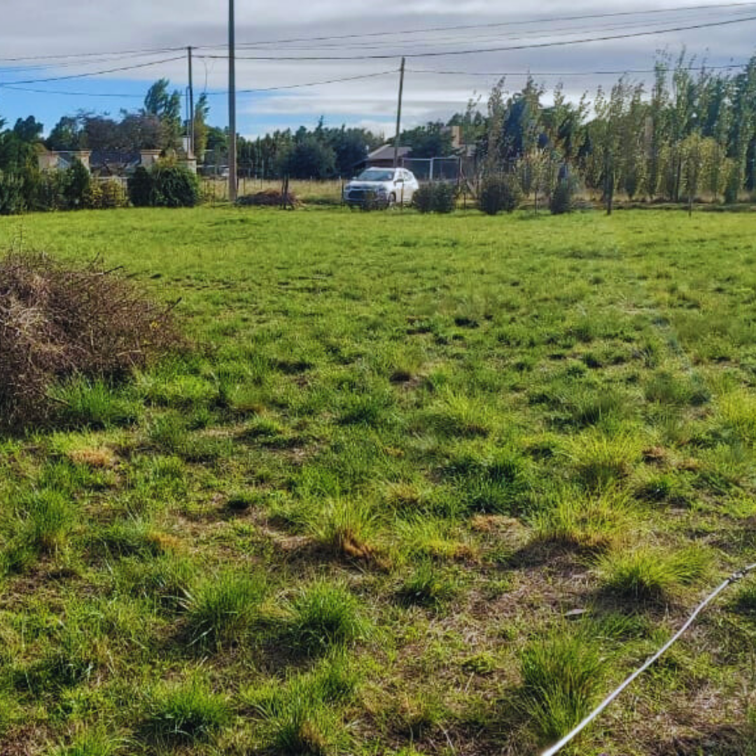 Terreno en Venta en Estanislao Lopez Y Esteban Rigamonti, Paihuen, Bahía Blanca - Bahía Blanca Propiedades | SITIO OFICIAL l