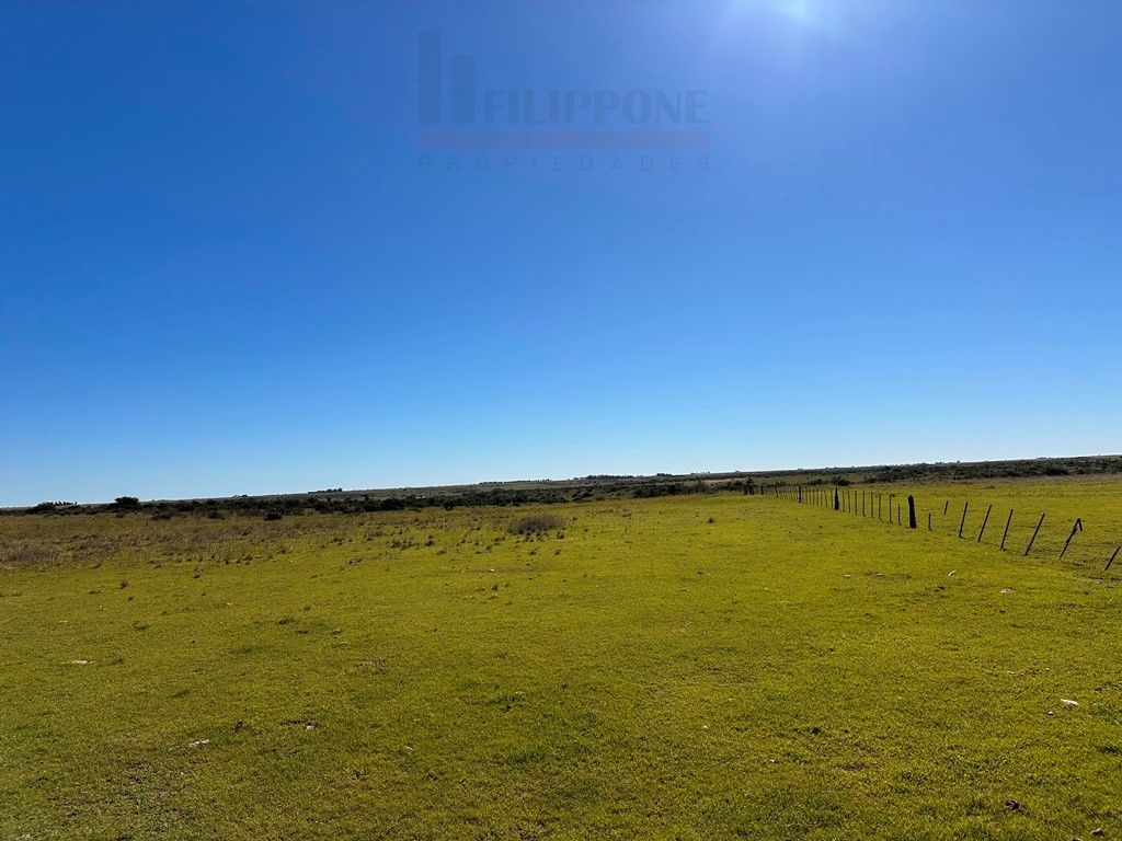 Campo  en Venta en Ruta 35 - Bahía Blanca Propiedades | SITIO OFICIAL l