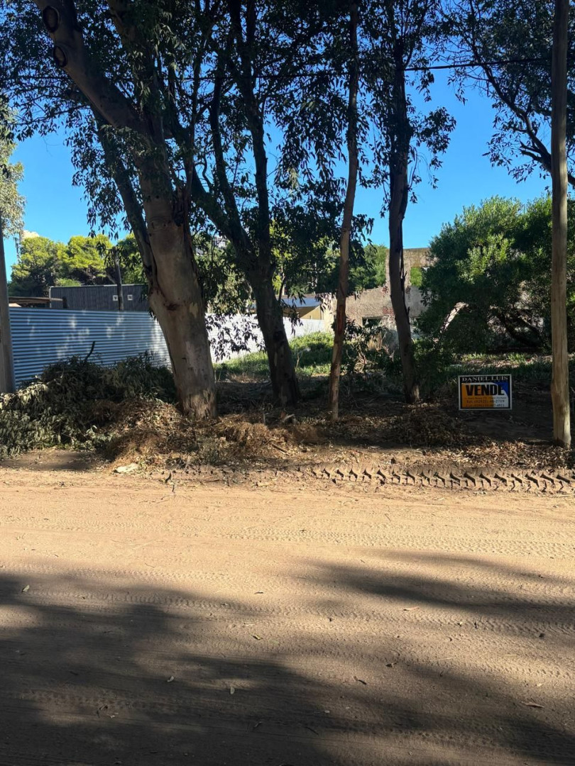 Terreno en Venta en Rodriguez Peña Y Necochea, El Sauce, Monte Hermoso - Bahía Blanca Propiedades | SITIO OFICIAL l