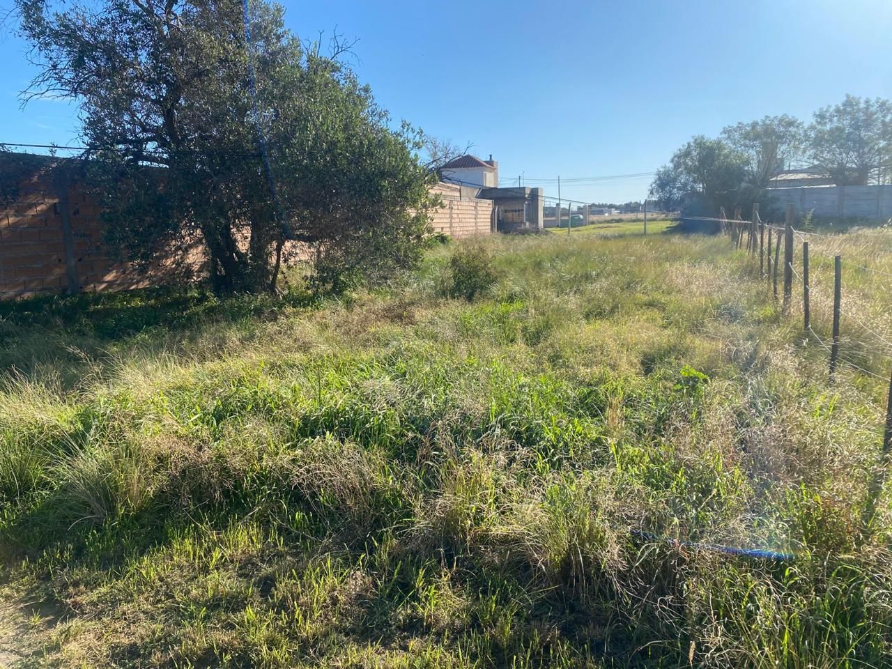 Terreno en Venta en San Francisco De Asis 1333,  Bahía Blanca - Bahía Blanca Propiedades | SITIO OFICIAL l