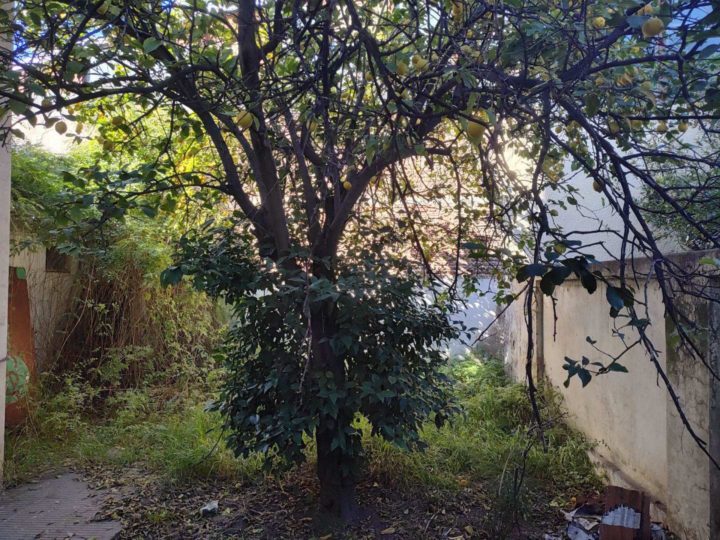 Casa en Venta en 19 De Mayo 63, Macrocentro, Bahía Blanca - Bahía Blanca Propiedades | SITIO OFICIAL l