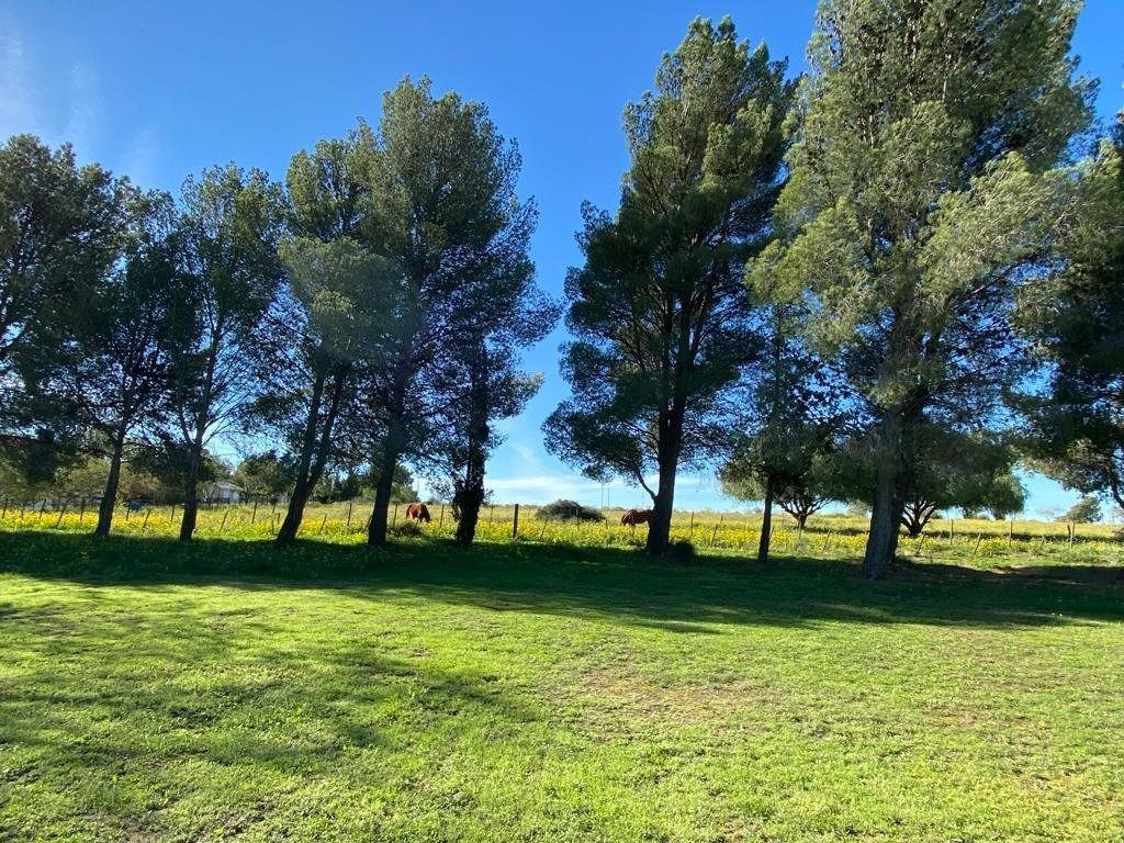 Terreno en Venta en Rigamonti 1850, San Carlos, Bahía Blanca - Bahía Blanca Propiedades | SITIO OFICIAL l