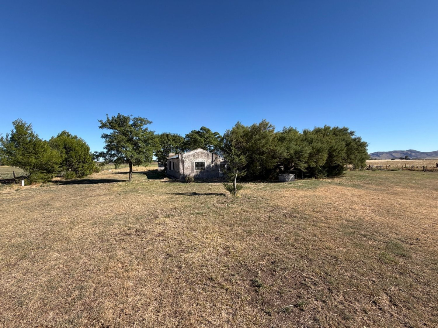 Campo  en Venta en Partido De Saavedra,  Saavedra - Bahía Blanca Propiedades | SITIO OFICIAL l