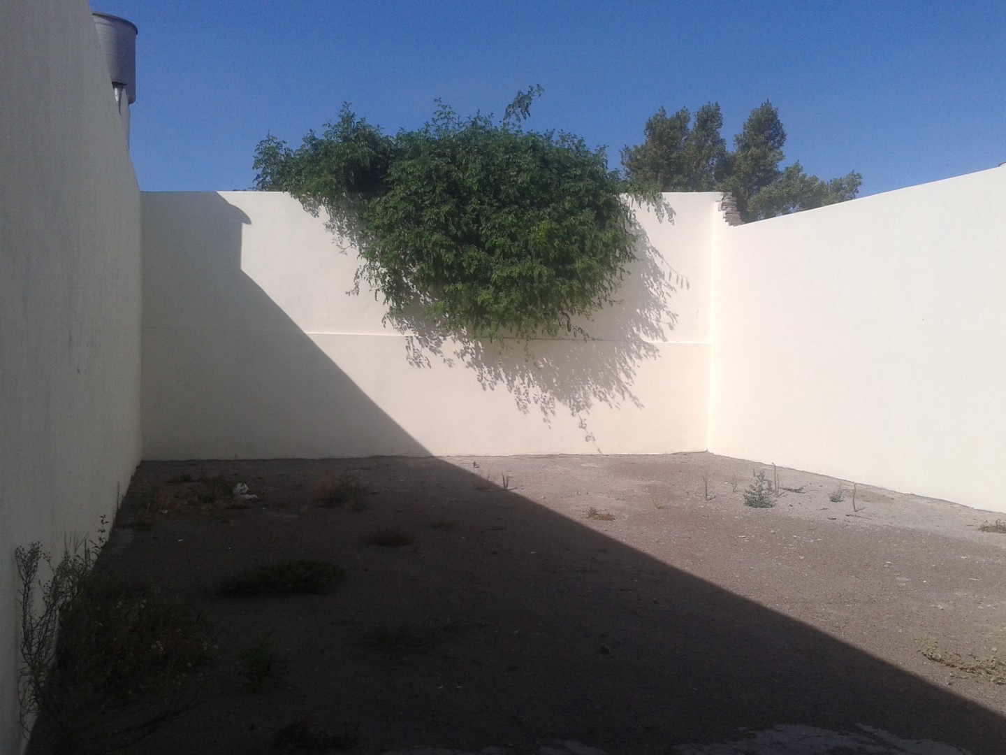 Galpón en Venta en Vieytes 1800, Pacifico, Bahía Blanca - Bahía Blanca Propiedades | SITIO OFICIAL l