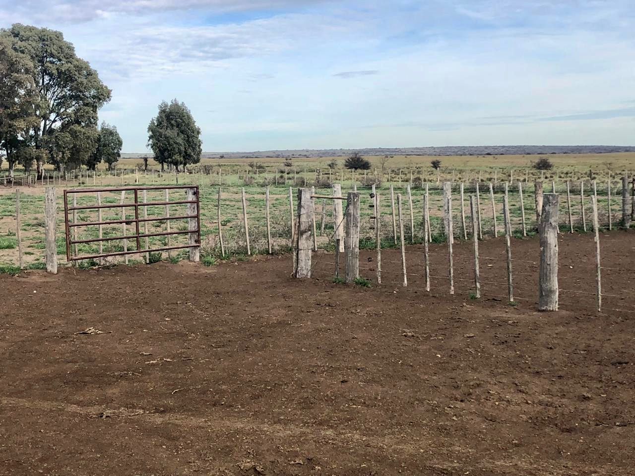 Campo  en Venta   Algarrobo - Bahía Blanca Propiedades | SITIO OFICIAL l