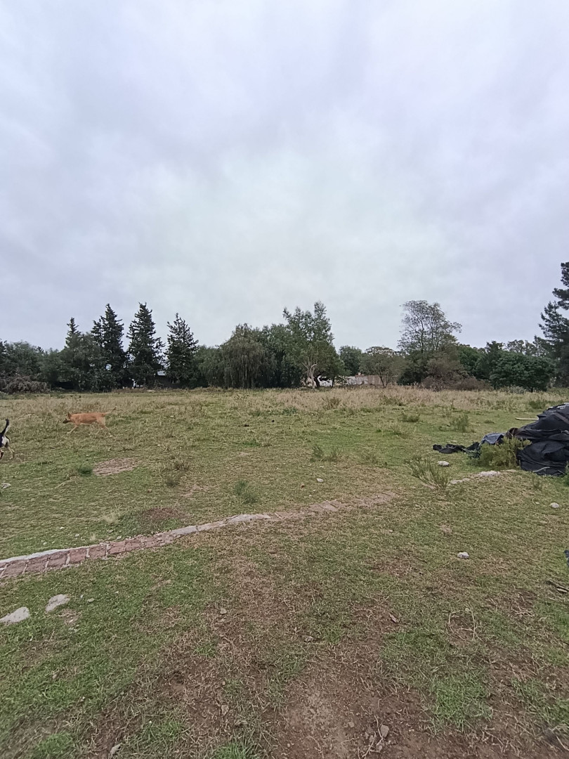 Terreno en Venta en Baigorria 4100 , San Miguel, Bahía Blanca - Bahía Blanca Propiedades | SITIO OFICIAL l