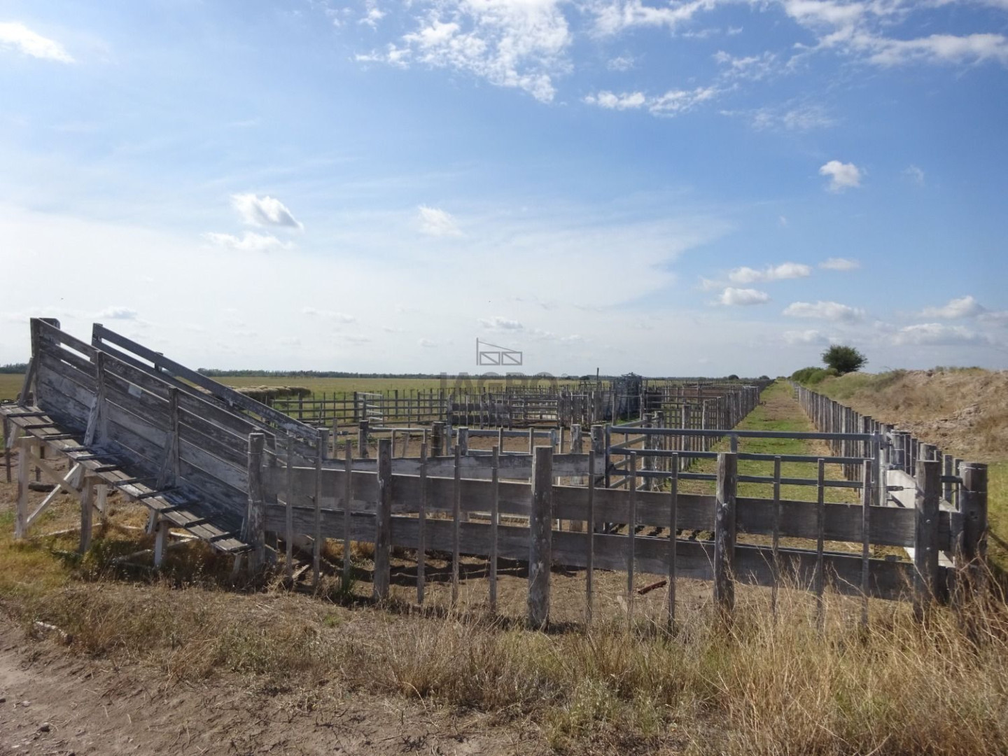 Campo  en Venta en Ruta Nacional 22,  Rio Colorado - Bahía Blanca Propiedades | SITIO OFICIAL l