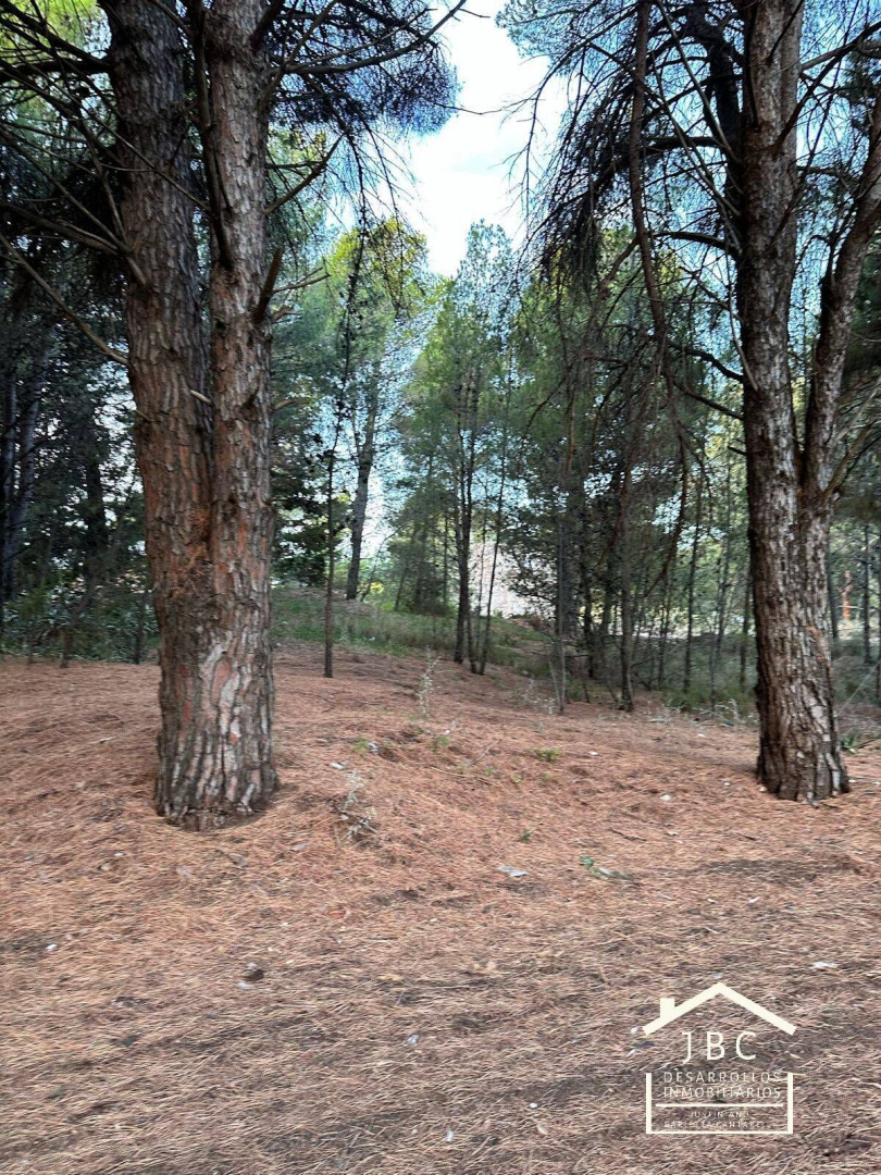 Terreno en Venta en Espora Y LAUQUEN MAPU,  Pehuen Co - Bahía Blanca Propiedades | SITIO OFICIAL l
