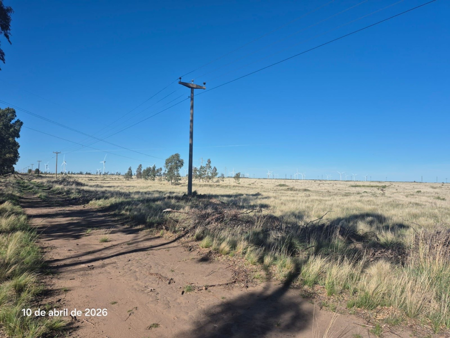 Campo  en Venta en Ruta 51 Km 722,  Bahía Blanca - Bahía Blanca Propiedades | SITIO OFICIAL l