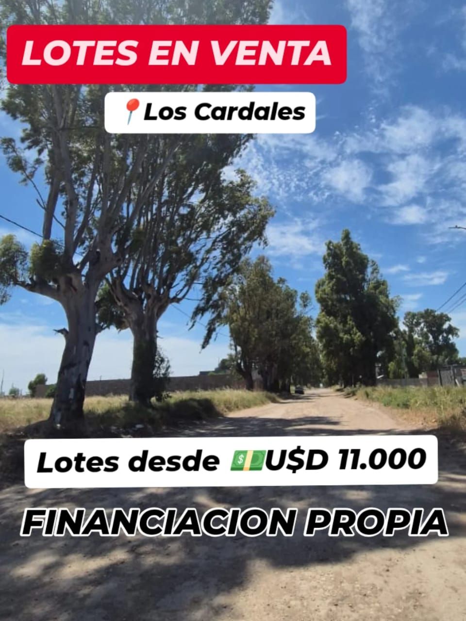 Terreno en Venta en Manuel De Rosas 3300,  Bahía Blanca - Bahía Blanca Propiedades | SITIO OFICIAL l
