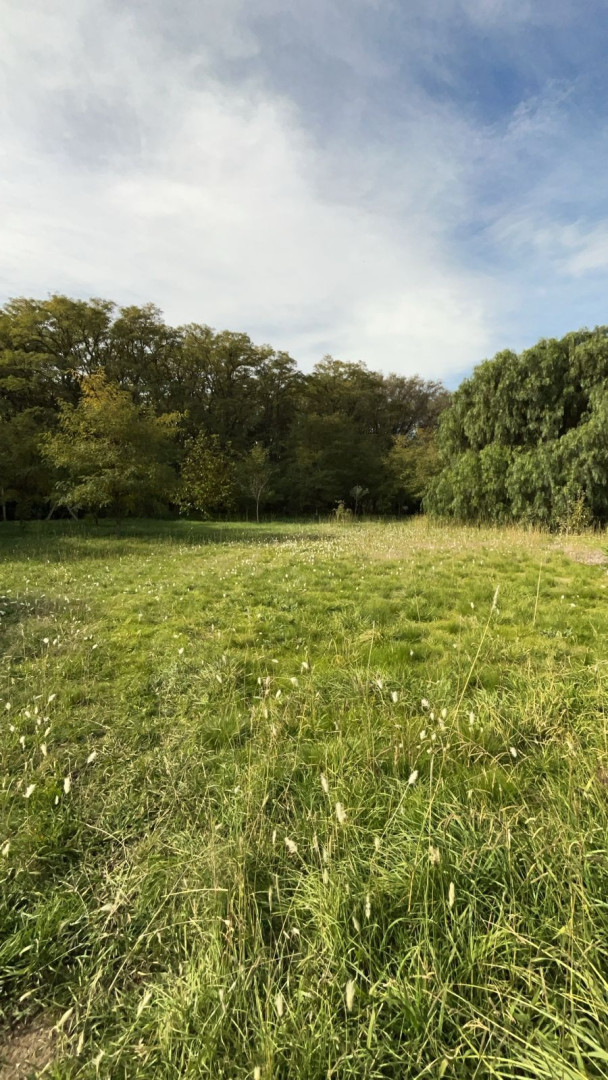 Casa en Venta en Las Torcazas Y Colibrí - Bahía Blanca Propiedades | SITIO OFICIAL l