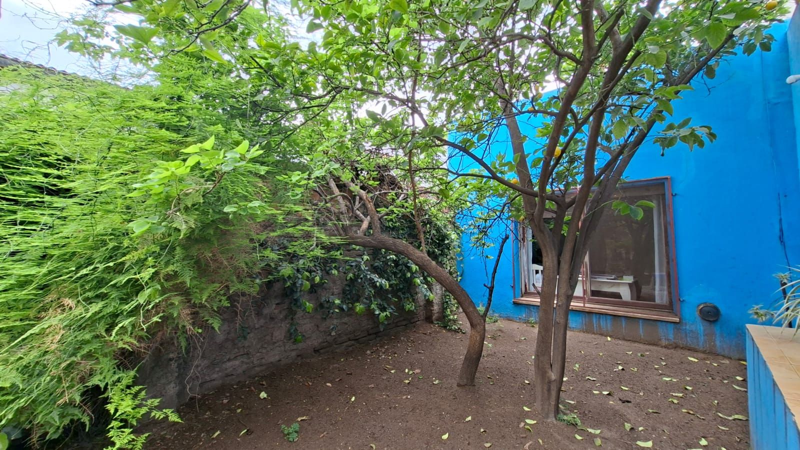 Casa en Venta en SÓCRATES N°1351, Villa Mitre, Bahía Blanca - Bahía Blanca Propiedades | SITIO OFICIAL l