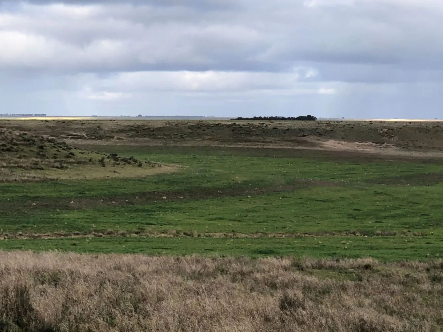 Campo  en Venta en Coronel Dorrego,  Coronel Dorrego - Bahía Blanca Propiedades | SITIO OFICIAL l