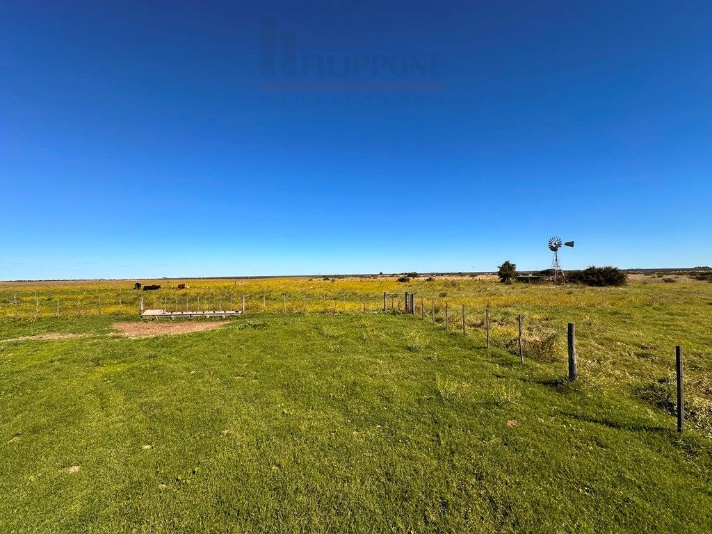 Campo  en Venta en Ruta 35 - Bahía Blanca Propiedades | SITIO OFICIAL l