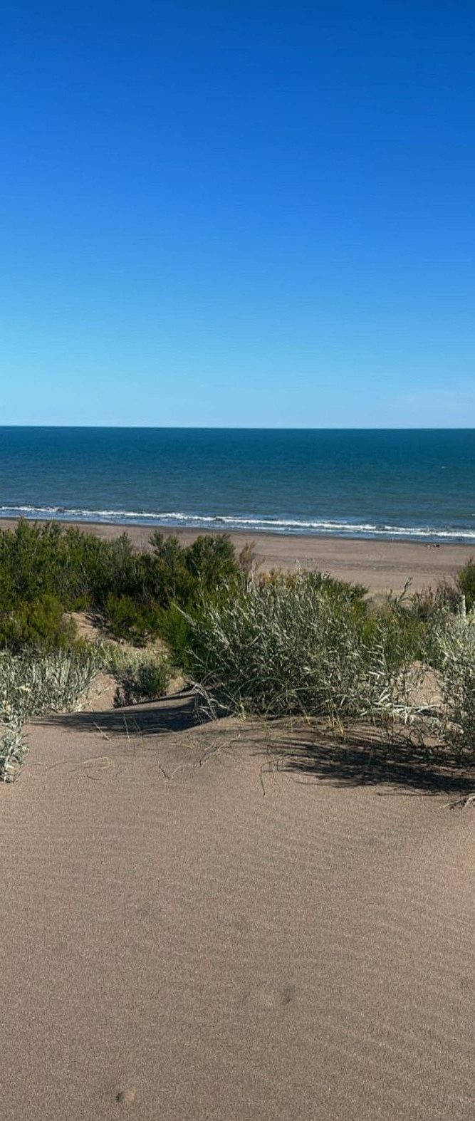 Terreno en Venta en SAN MARTIN 1650, El Sauce, Monte Hermoso - Bahía Blanca Propiedades | SITIO OFICIAL l