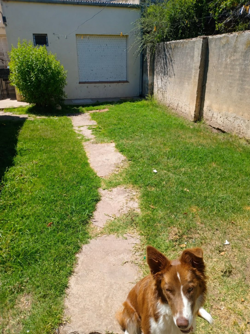 Casa en Venta en Ventura Picado N°166,  Tornquist - Bahía Blanca Propiedades | SITIO OFICIAL l