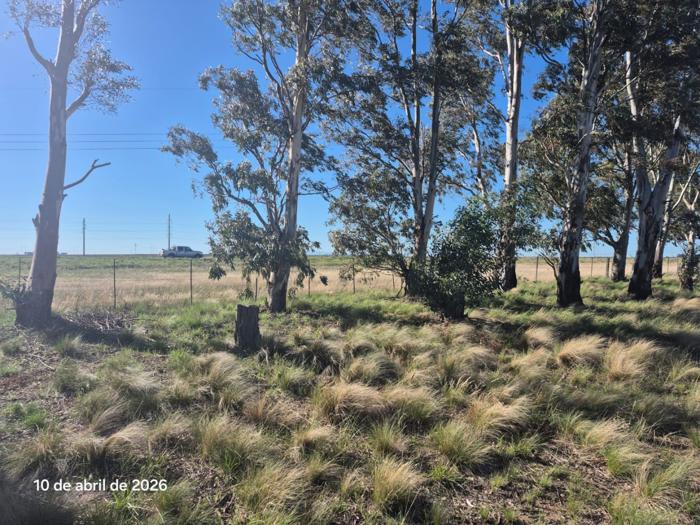 Campo  en Venta en Ruta 51 Km 722,  Bahía Blanca - Bahía Blanca Propiedades | SITIO OFICIAL l