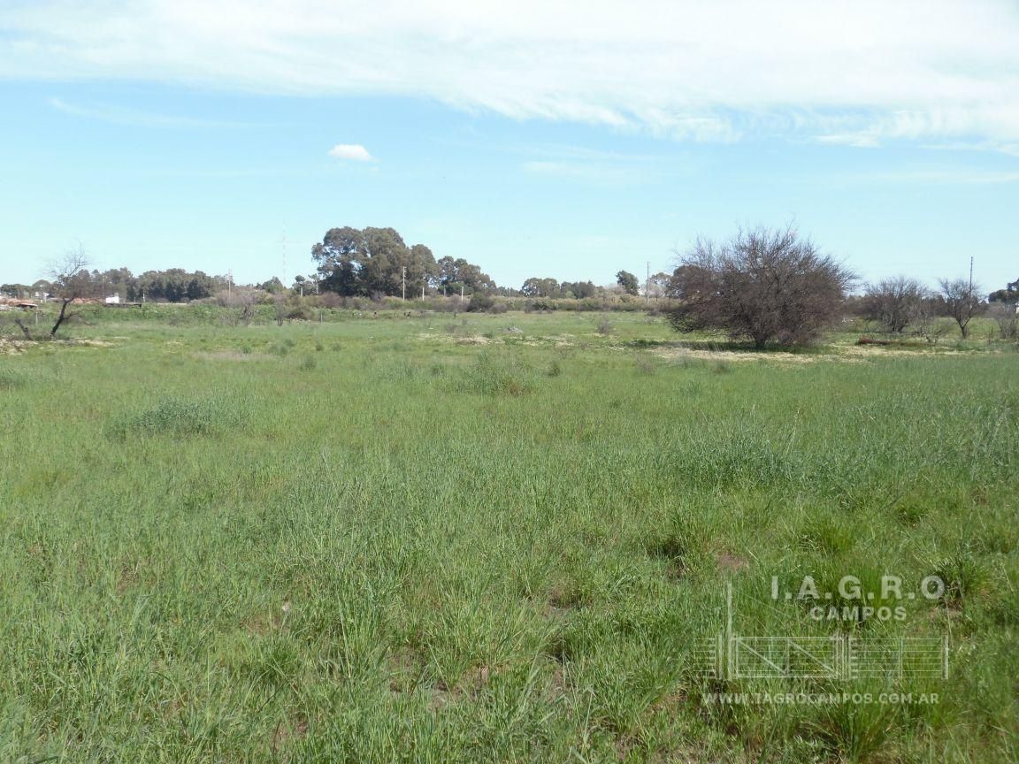 Terreno en Venta en Sixto Laspiur Y Ugarte,  Bahía Blanca - Bahía Blanca Propiedades | SITIO OFICIAL l