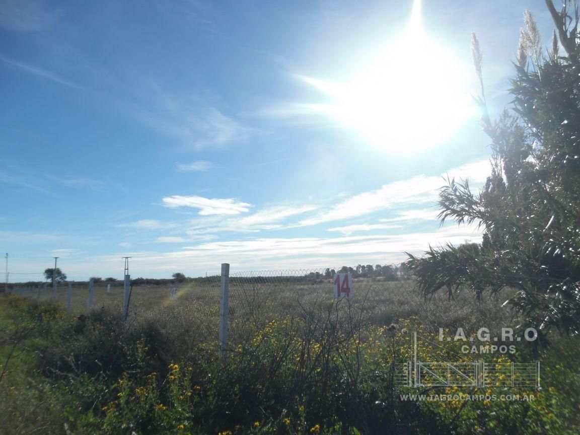 Terreno en Venta en Ruta Nacional 3 Sur Km 695,  Bahía Blanca - Bahía Blanca Propiedades | SITIO OFICIAL l