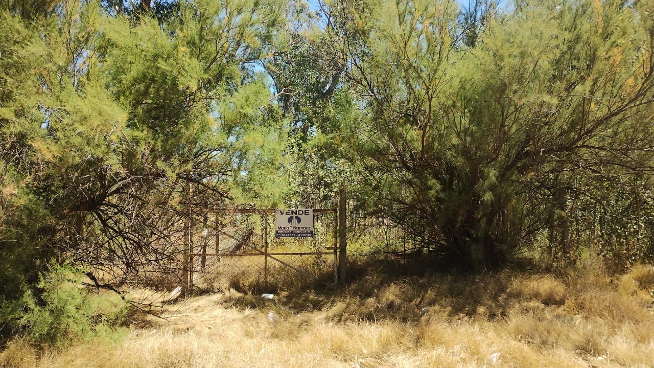 Terreno en Venta en Las Ballenas 850,  Monte Hermoso - Bahía Blanca Propiedades | SITIO OFICIAL l