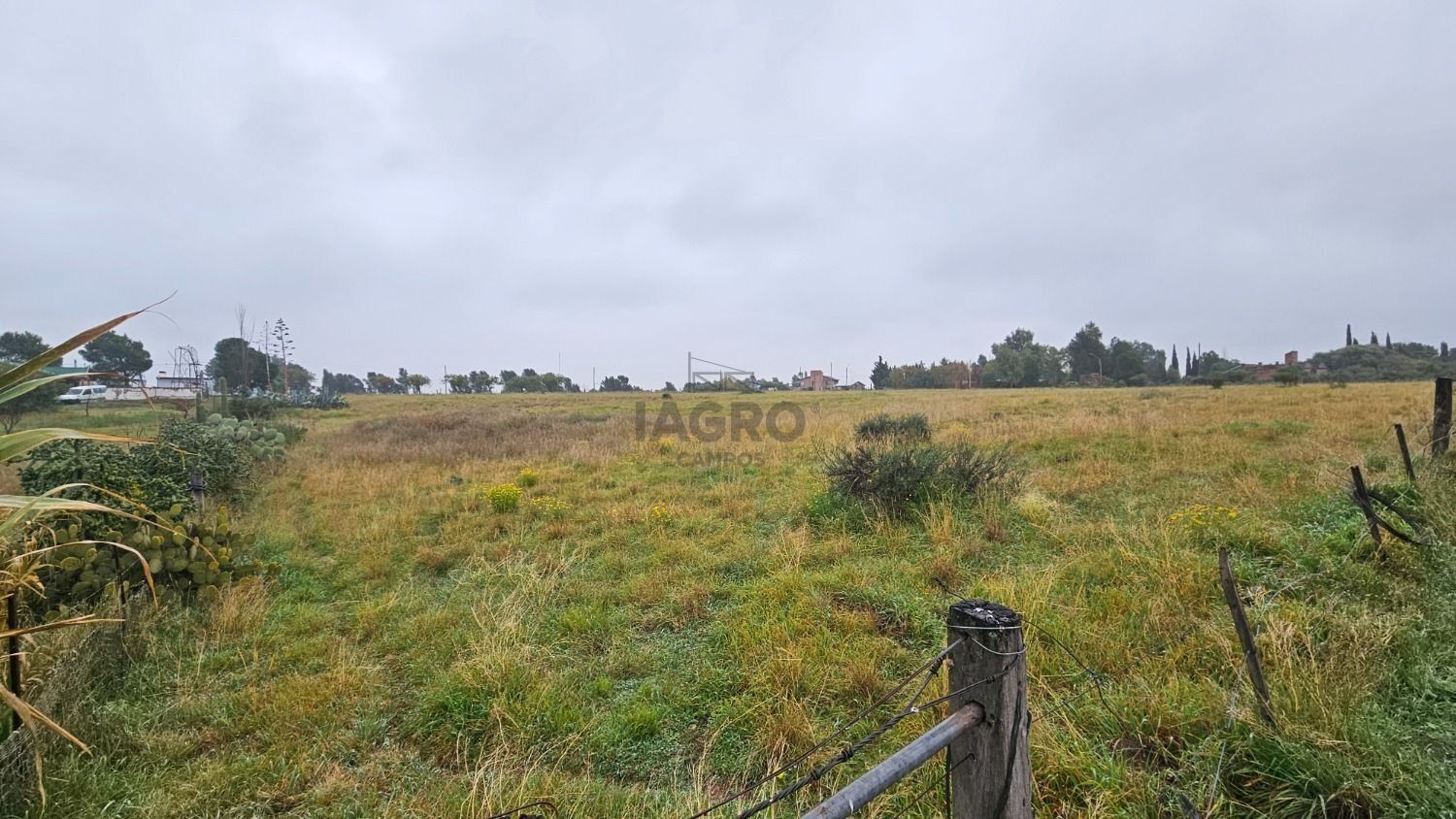 Terreno en Venta en Rigamonti Y Salvo, Villa Belgrano, Bahía Blanca - Bahía Blanca Propiedades | SITIO OFICIAL l