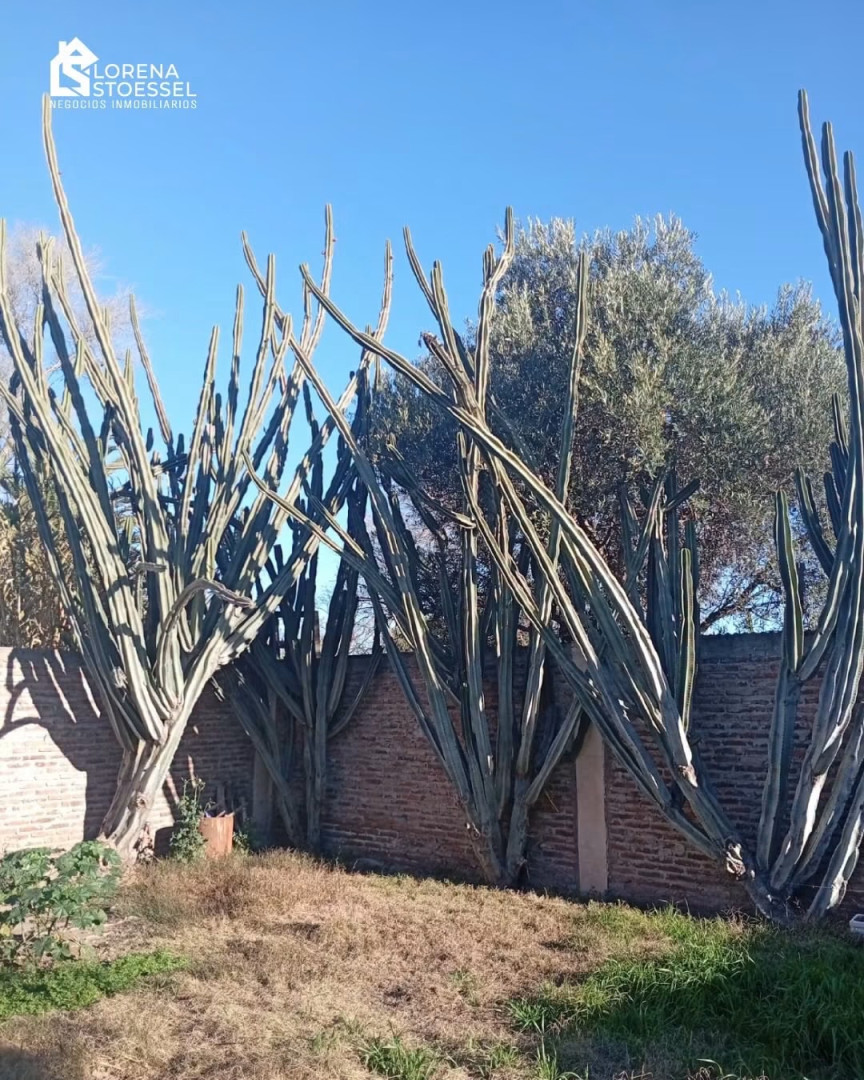 Casa en Venta en Río Negro 1200, Villa Ressia, Bahía Blanca - Bahía Blanca Propiedades | SITIO OFICIAL l
