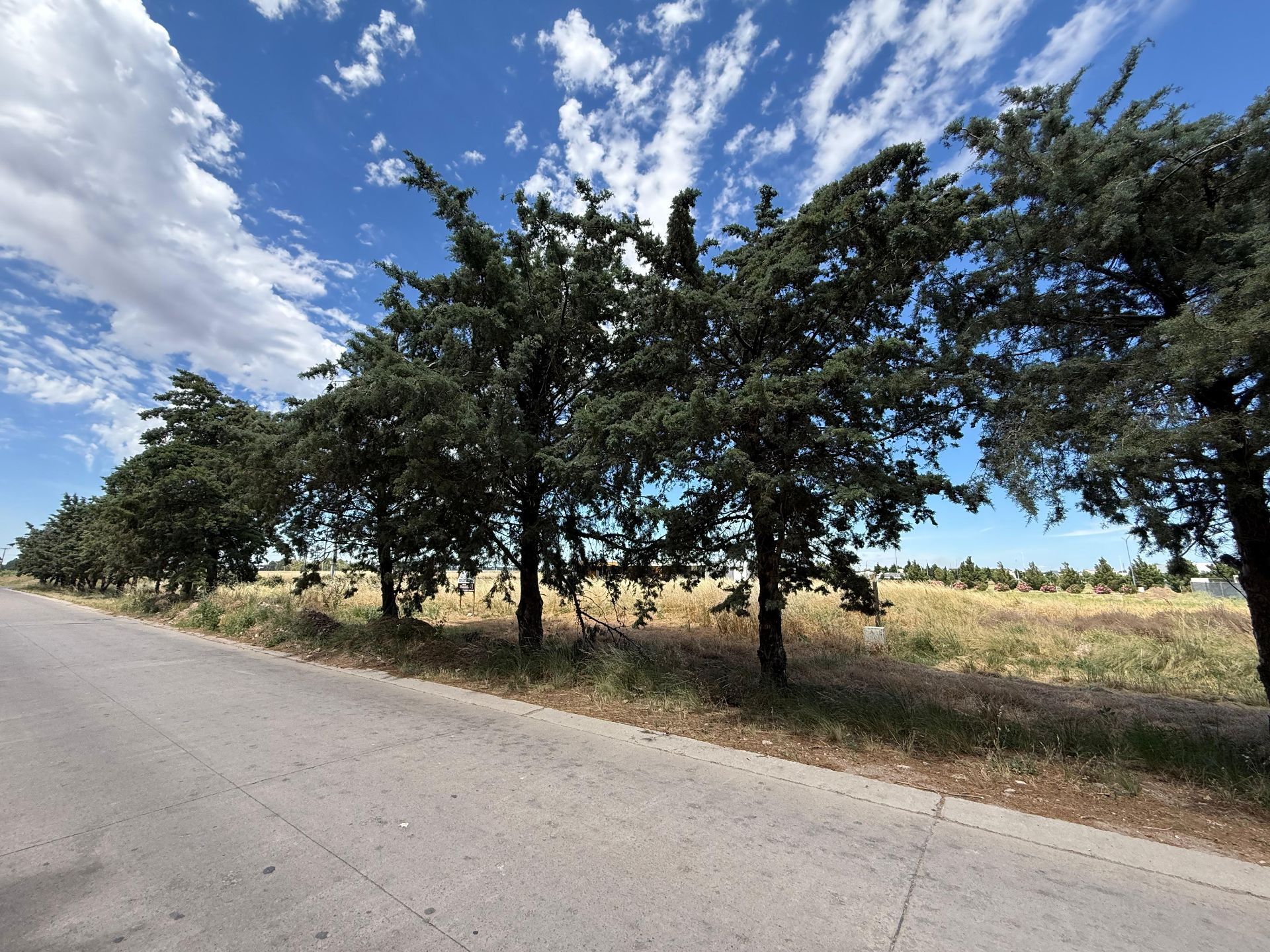 Terreno en Venta en LAS PERDICES, Las Perdices , Bahía Blanca - Bahía Blanca Propiedades | SITIO OFICIAL l
