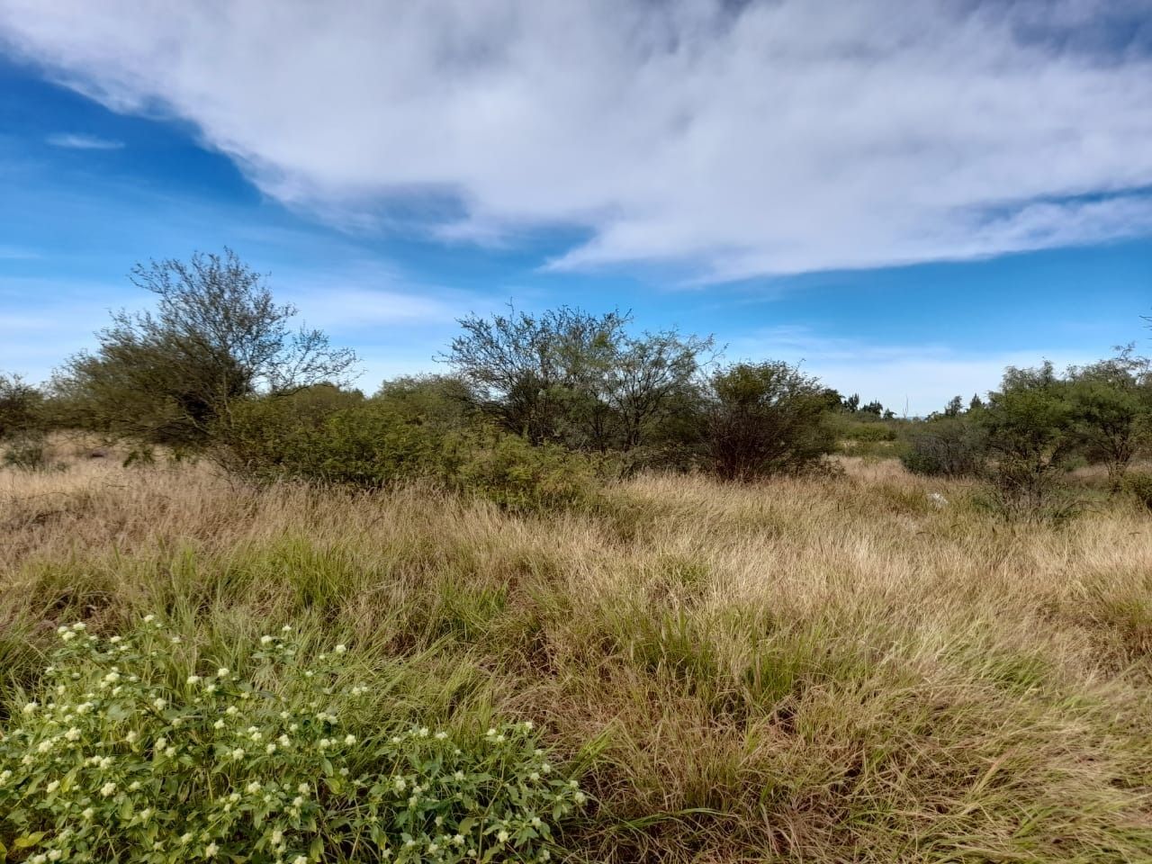 Campo  en Venta en La Rioja ,  La Rioja - Bahía Blanca Propiedades | SITIO OFICIAL l
