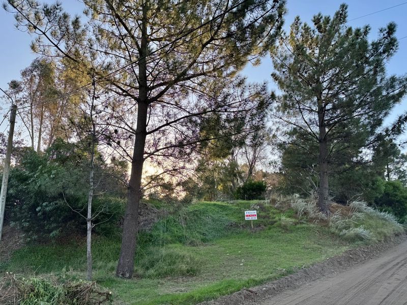 Terreno en Venta en Av. Zucchiatti Y Córdoba, Dufaur, Monte Hermoso - Bahía Blanca Propiedades | SITIO OFICIAL l