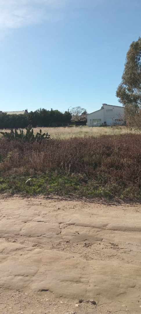 Terreno en Venta en Ambrusi 2500, Parque Norte, Bahía Blanca - Bahía Blanca Propiedades | SITIO OFICIAL l