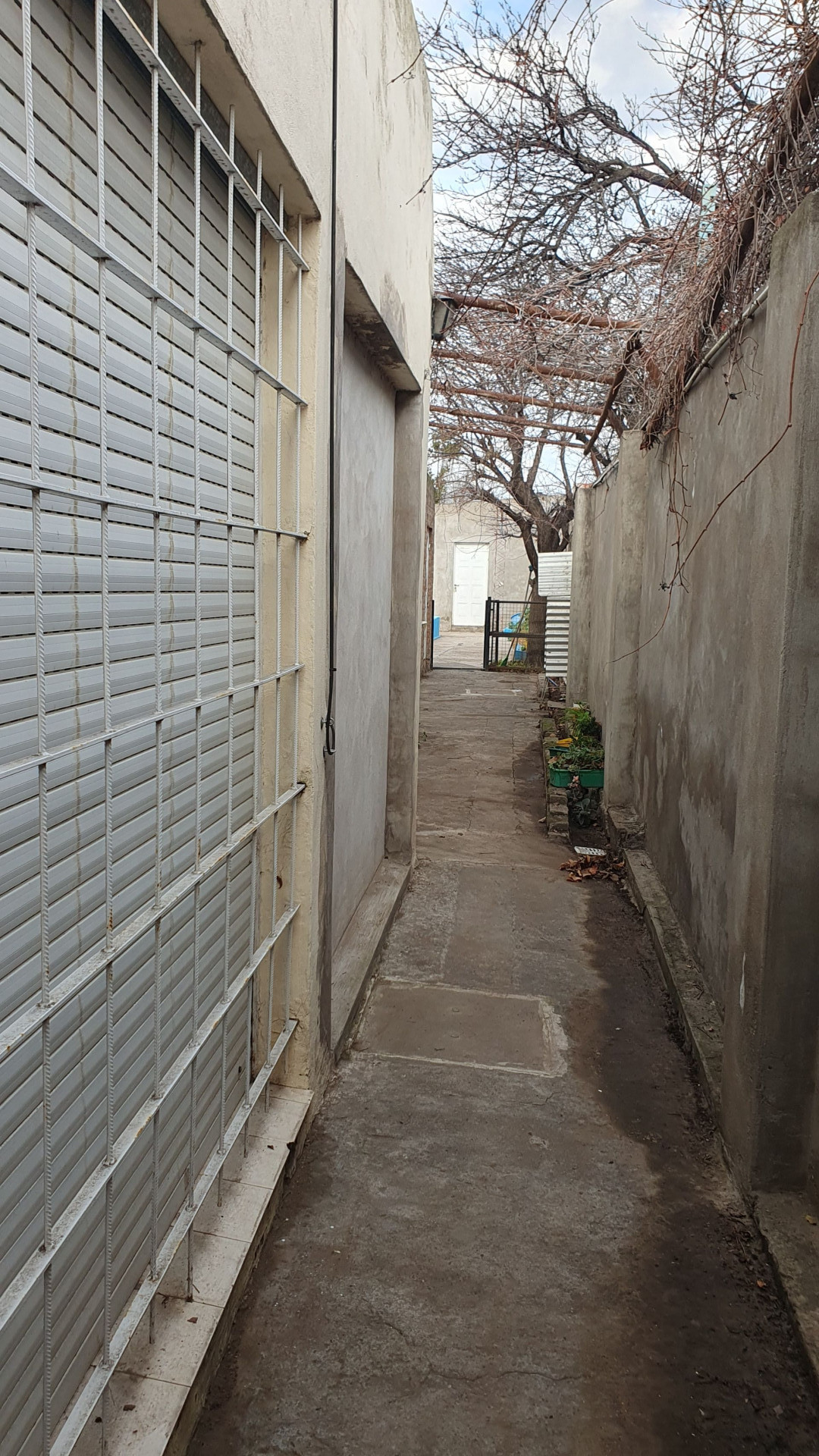 Casa + Departamento en Venta en Tarapaca 1834, Villa Rosas, Bahía Blanca - Bahía Blanca Propiedades | SITIO OFICIAL l